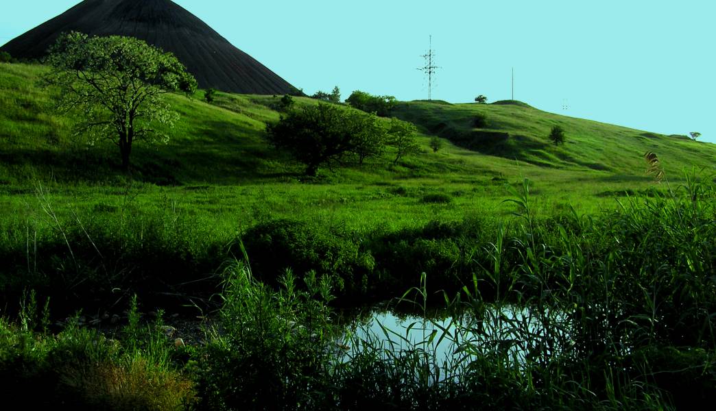 Донецкий край. Природа донецкого края. Красивые места в ДНР на природе. Донбасс картинки.